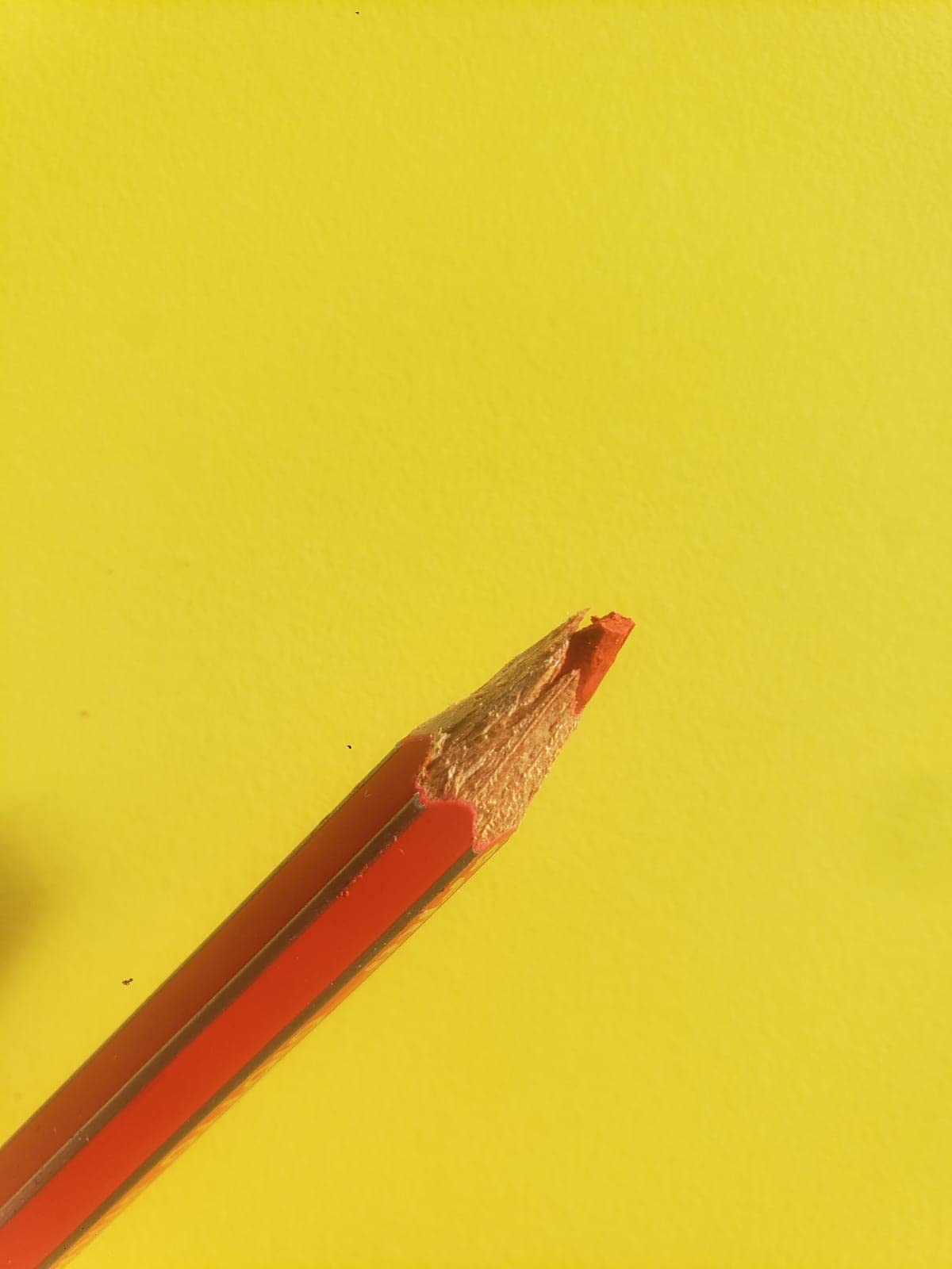 Bons crayons d’école