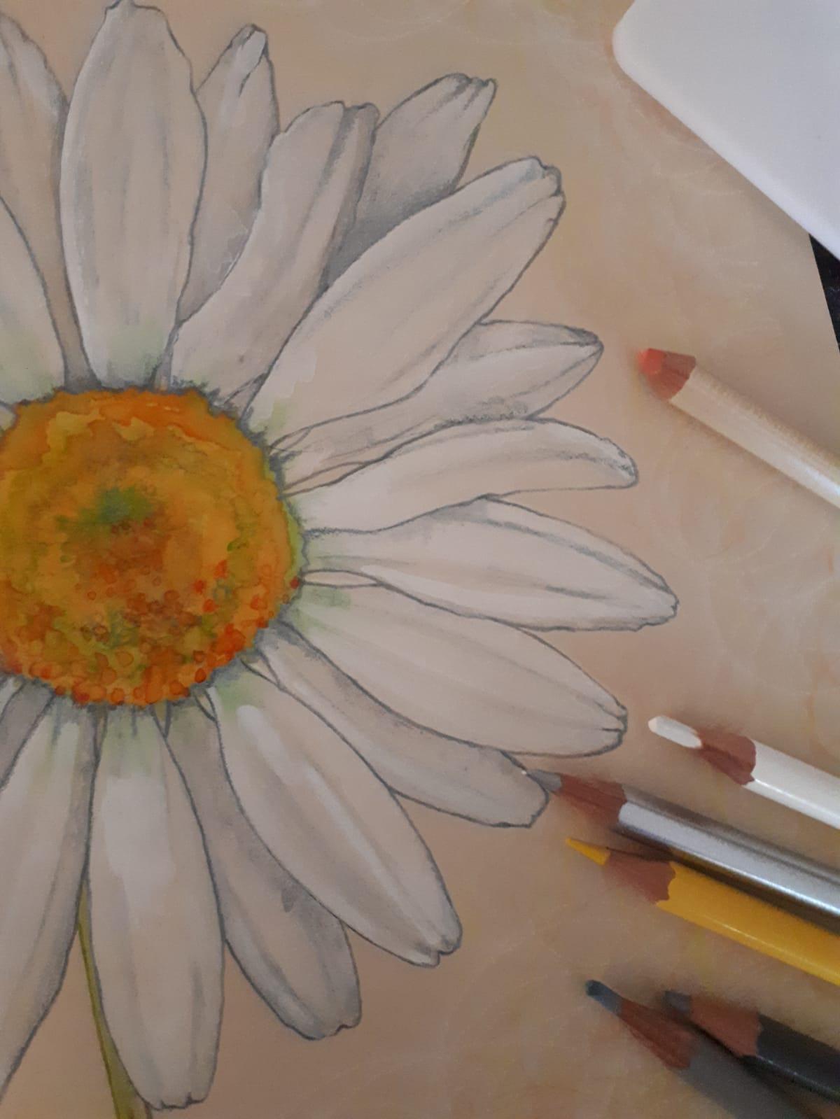 Déçue par deux crayons secs