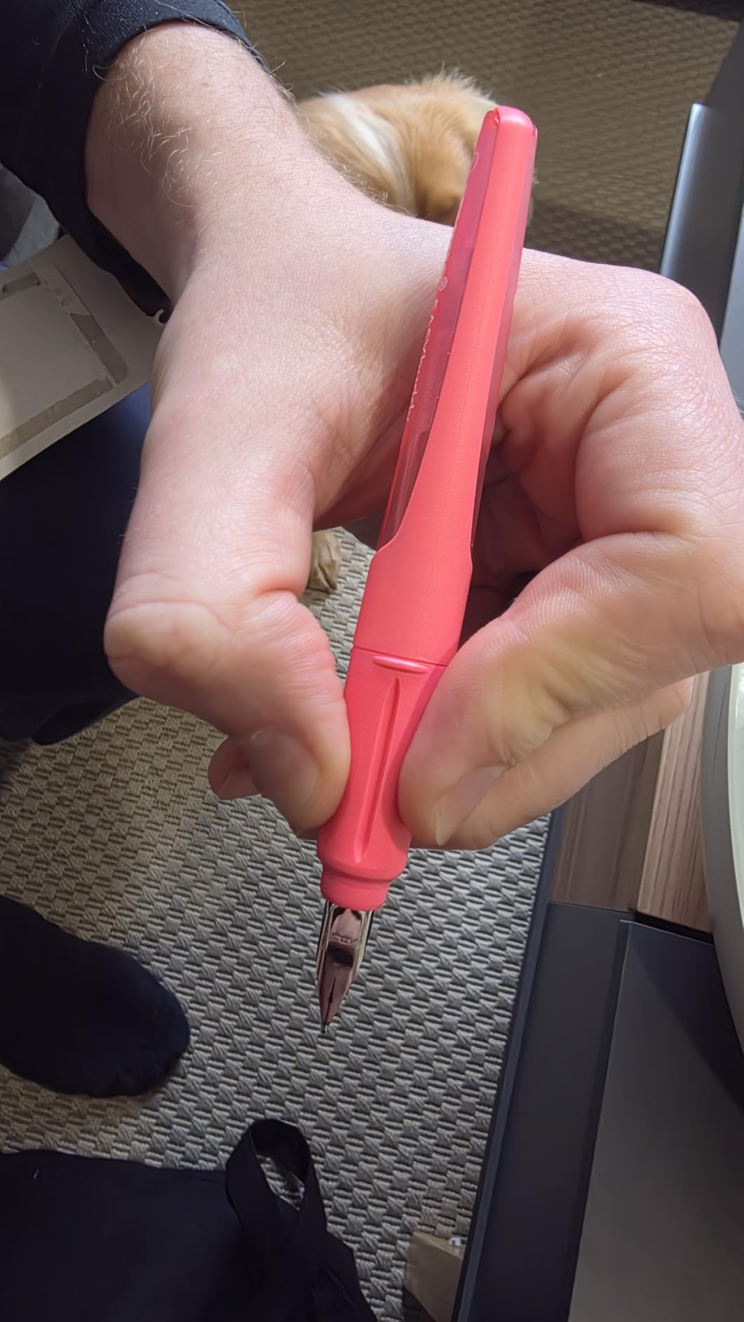 Enfin un stylo pour gauchère !