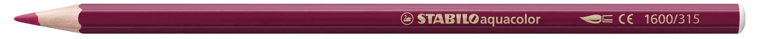 stabilo-aquacolor-arty-crayons-de-couleur-aquarellables-tui-carton-de-24 image 2