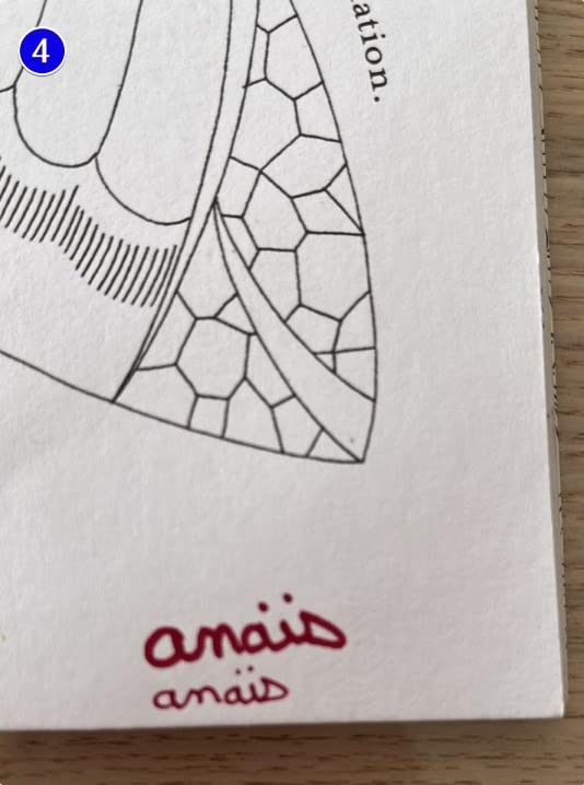 Je ne m'en lasse pas