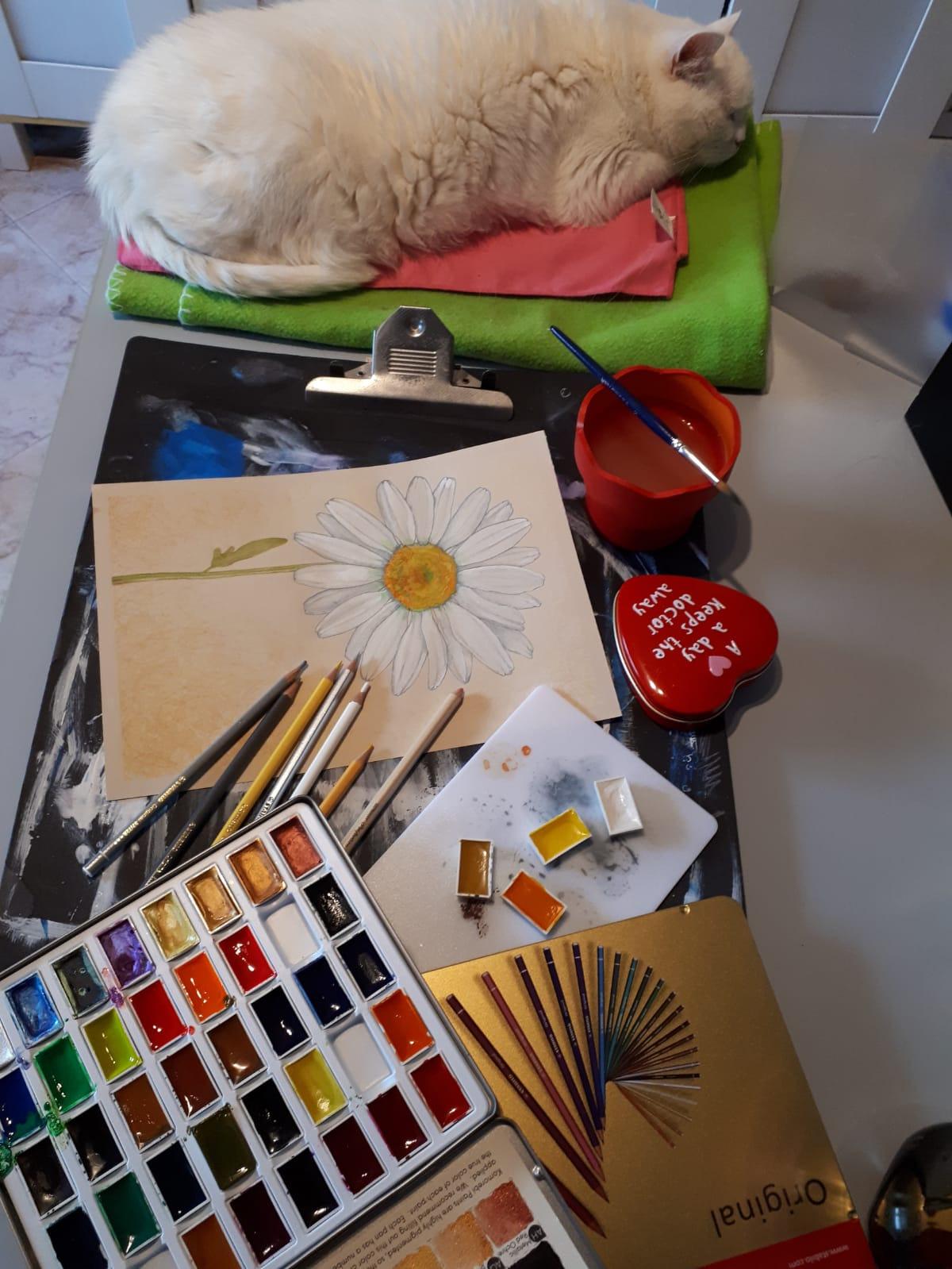 Couleurs éclatantes, taille facile