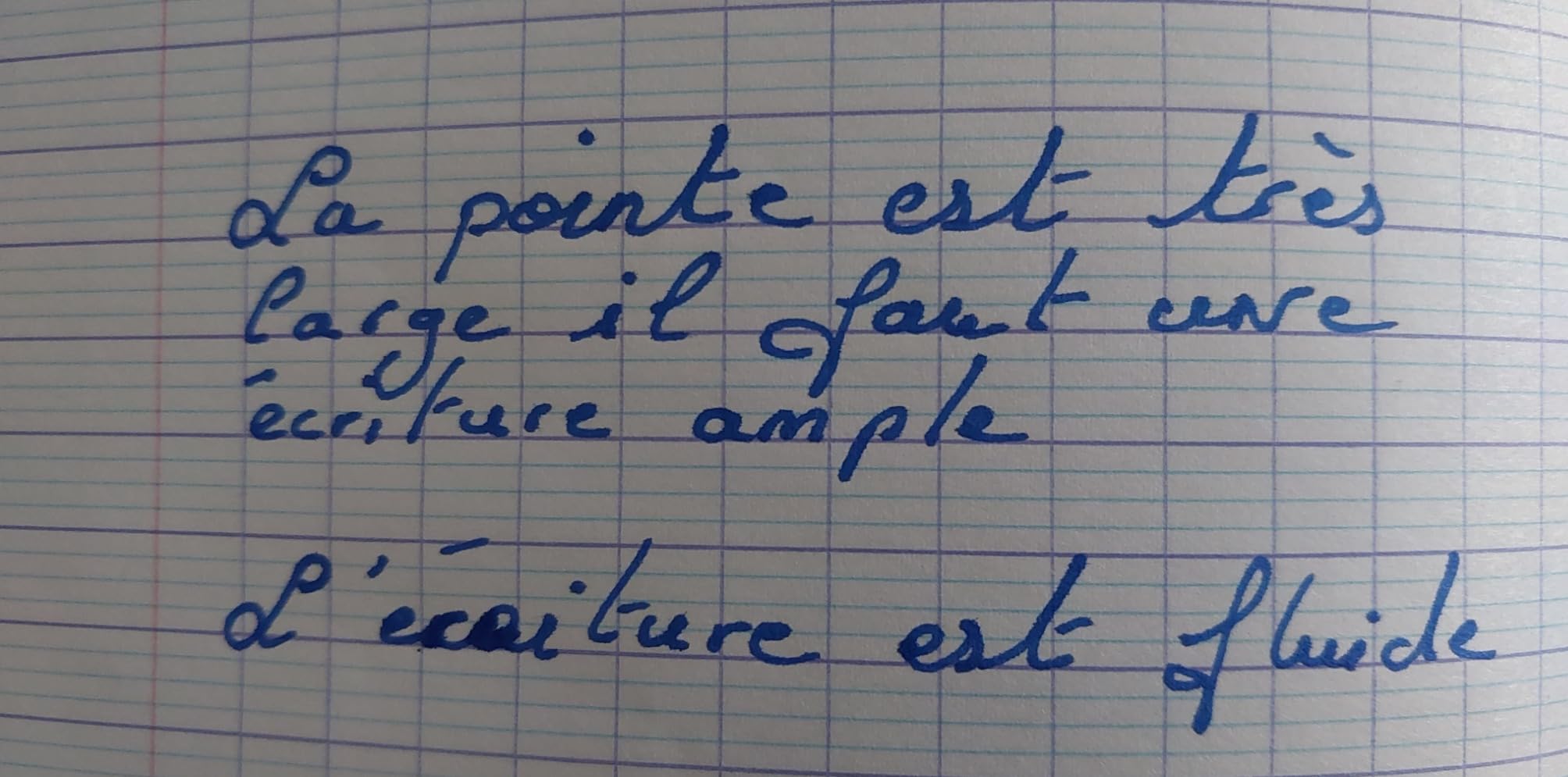 Bien mais plume capricieuse